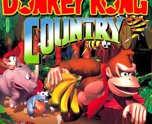 Donkey Kong Country