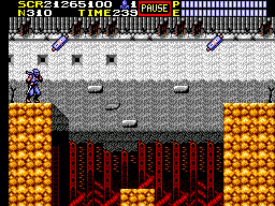 Ninja Gaiden