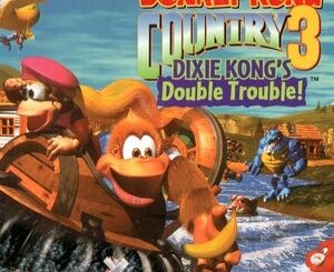 Donkey Kong Country 3