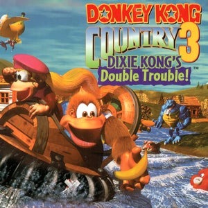 Donkey Kong Country 3